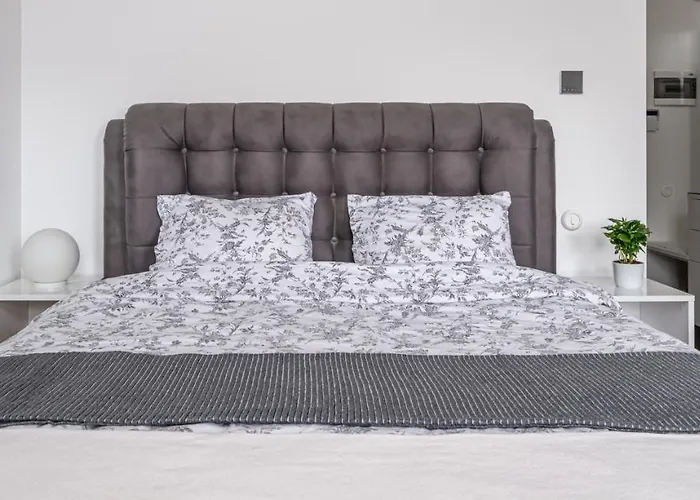 Apartment Library House 